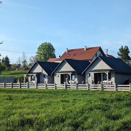 Villa Biesczadowa Dolina Ustrzyki Dolne Exterior foto